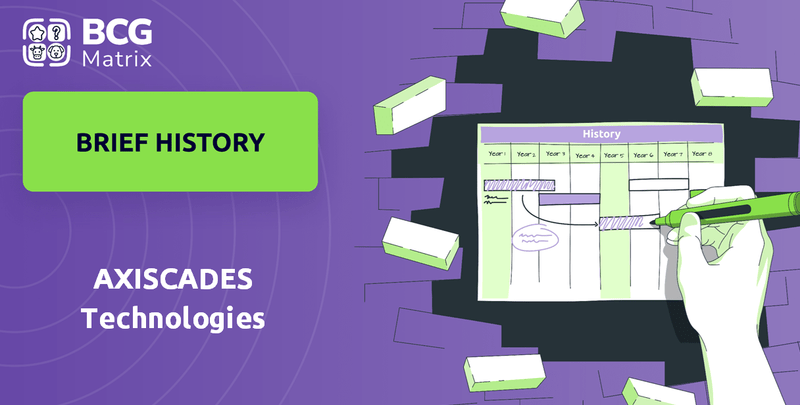 What is Brief History of AXISCADES Technologies Company?
