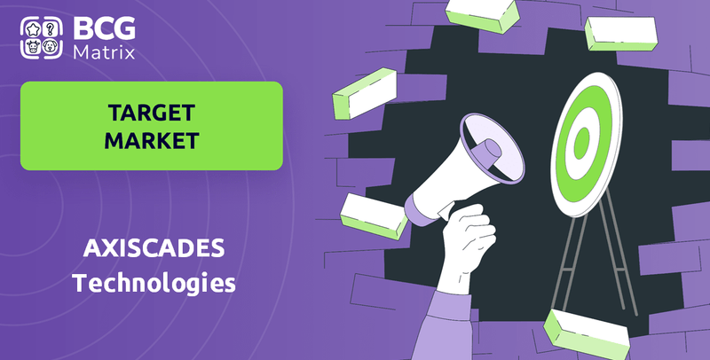 What is Customer Demographics and Target Market of AXISCADES Technologies Company?