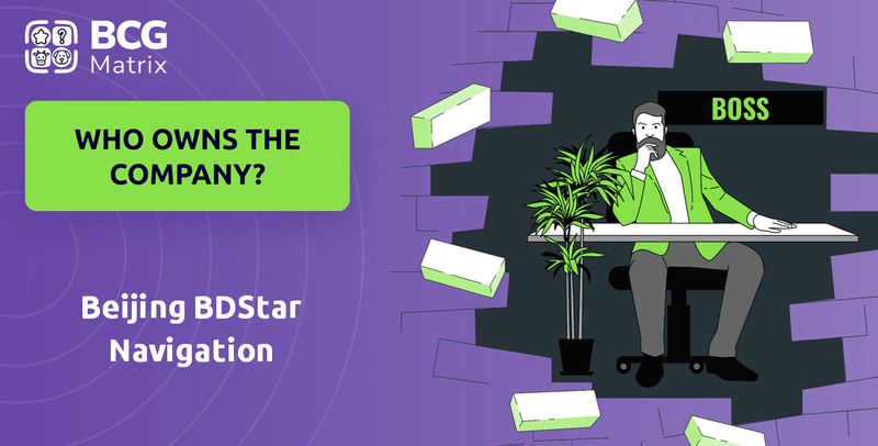Who Owns Beijing BDStar Navigation Company?