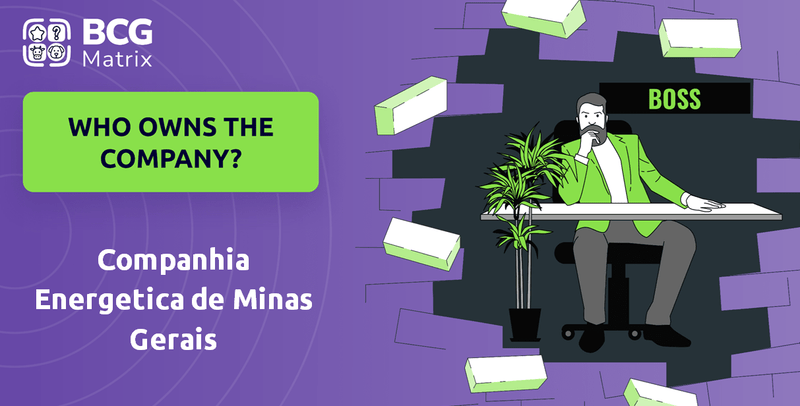 Who Owns Companhia Energetica de Minas Gerais Company?