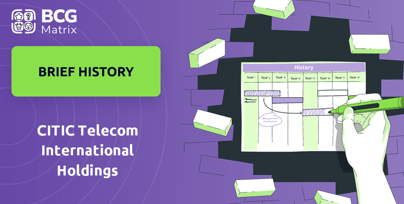What is Brief History of CITIC Telecom International Holdings Company?