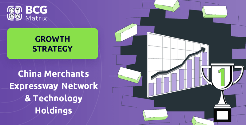 What is Growth Strategy and Future Prospects of China Merchants Expressway Network & Technology Holdings Company?