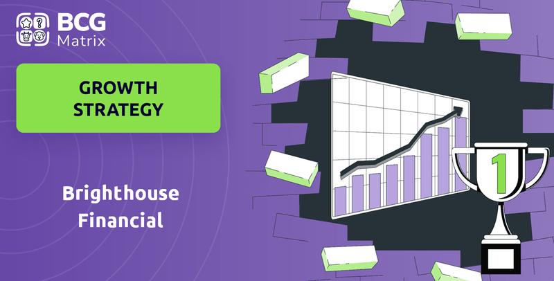 What is Growth Strategy and Future Prospects of Brighthouse Financial Company?