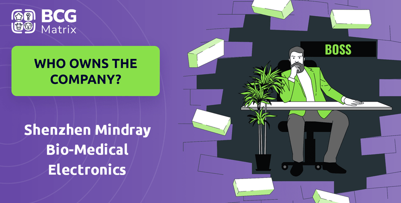 Who Owns Shenzhen Mindray Bio-Medical Electronics Company?