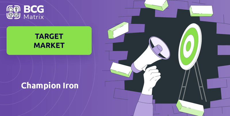 What is Customer Demographics and Target Market of Champion Iron Company?