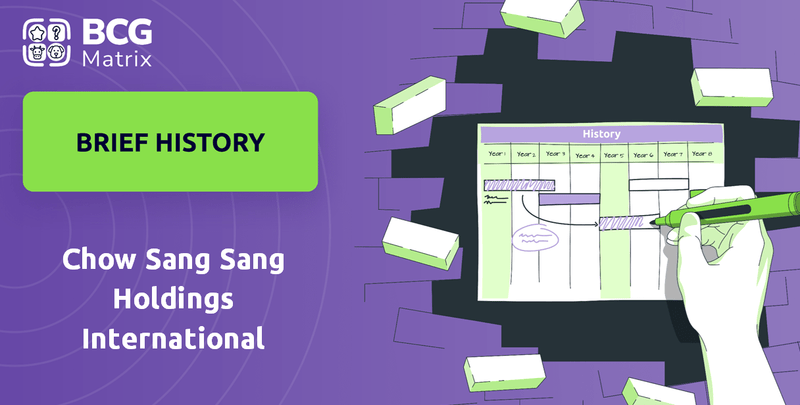 What is Brief History of Chow Sang Sang Holdings International Company?