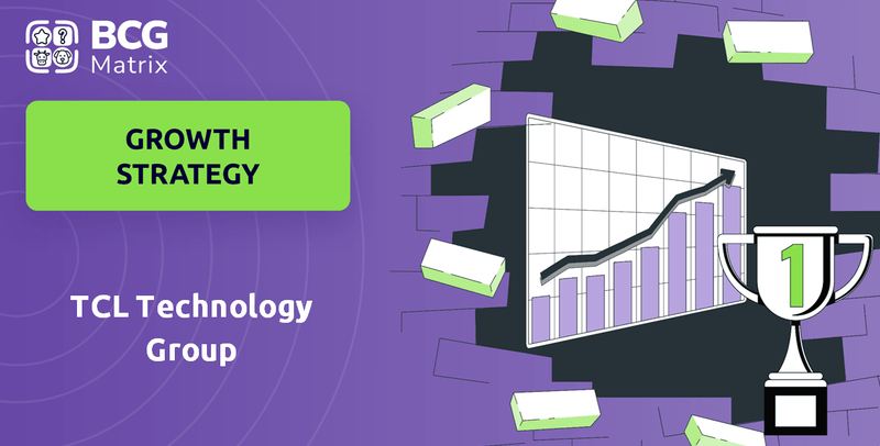 What is Growth Strategy and Future Prospects of TCL Technology Group Company?