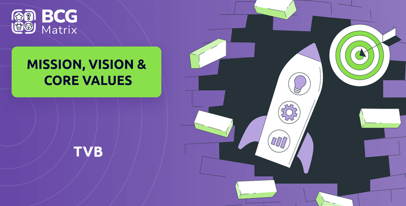 What are Mission Vision & Core Values of TVB Company?