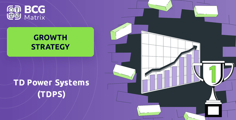 What is Growth Strategy and Future Prospects of TD Power Systems (TDPS) Company?