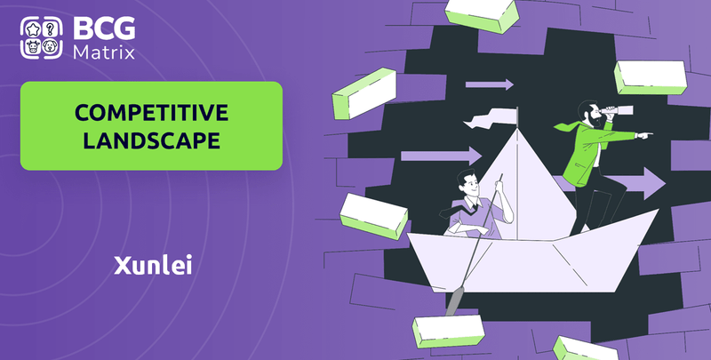 What is Competitive Landscape of Xunlei Company?