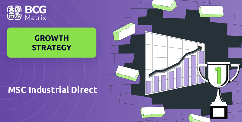 What is Growth Strategy and Future Prospects of MSC Industrial Direct Company?