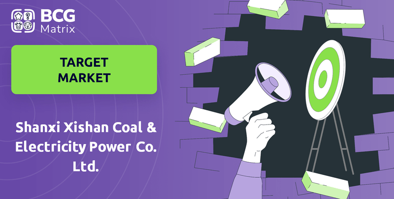 What is Customer Demographics and Target Market of Shanxi Xishan Coal & Electricity Power Co. Ltd. Company?