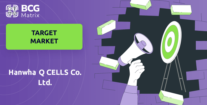 What is Customer Demographics and Target Market of Hanwha Q CELLS Co. Ltd. Company?