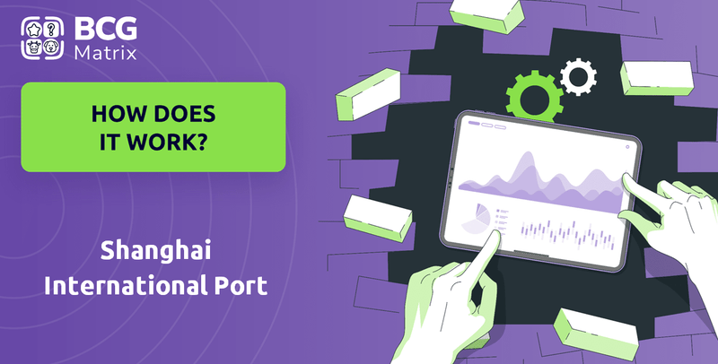How Does Shanghai International Port Company Work?