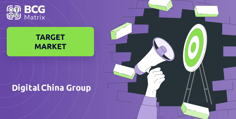 What is Customer Demographics and Target Market of Digital China Group Company?