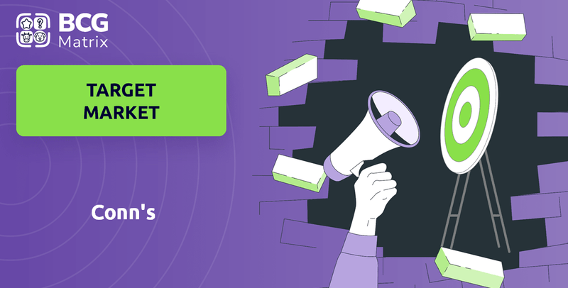 What is Customer Demographics and Target Market of Conn's Company?