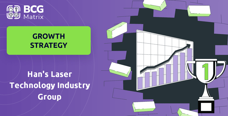 What is Growth Strategy and Future Prospects of Han's Laser Technology Industry Group Company?