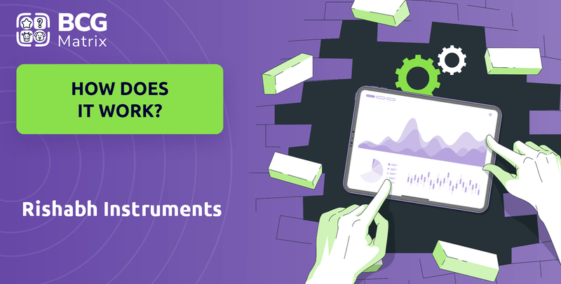 How Does Rishabh Instruments Company Work?
