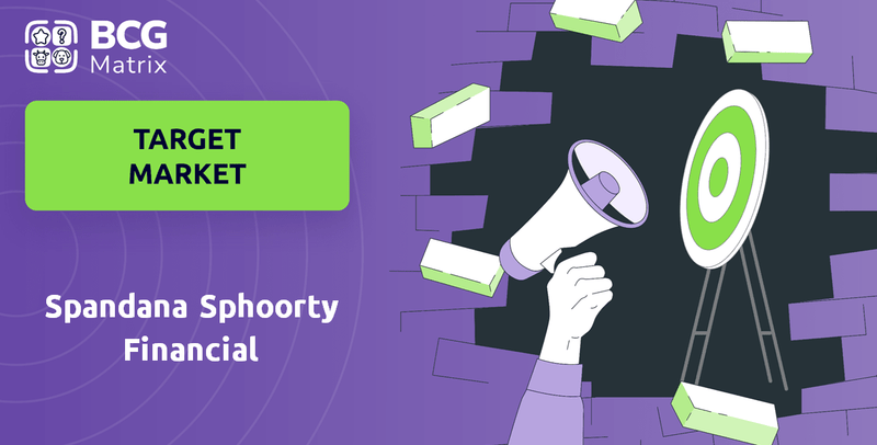 What is Customer Demographics and Target Market of Spandana Sphoorty Financial Company?