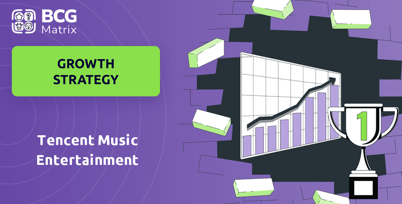 What is Growth Strategy and Future Prospects of Tencent Music Entertainment Company?
