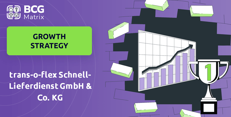 What is Growth Strategy and Future Prospects of trans-o-flex Schnell-Lieferdienst GmbH & Co. KG Company?