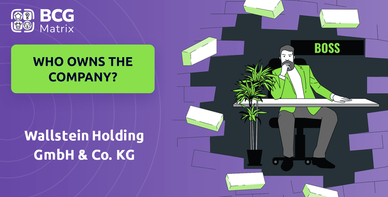 Who Owns Wallstein Holding GmbH & Co. KG Company?