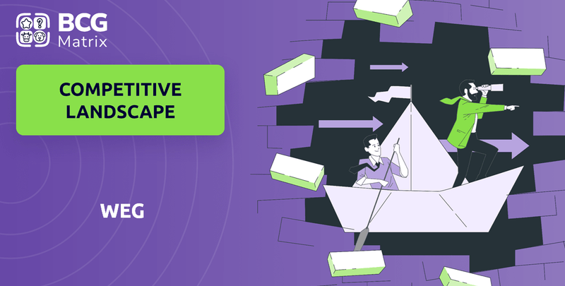 What is Competitive Landscape of WEG Company?