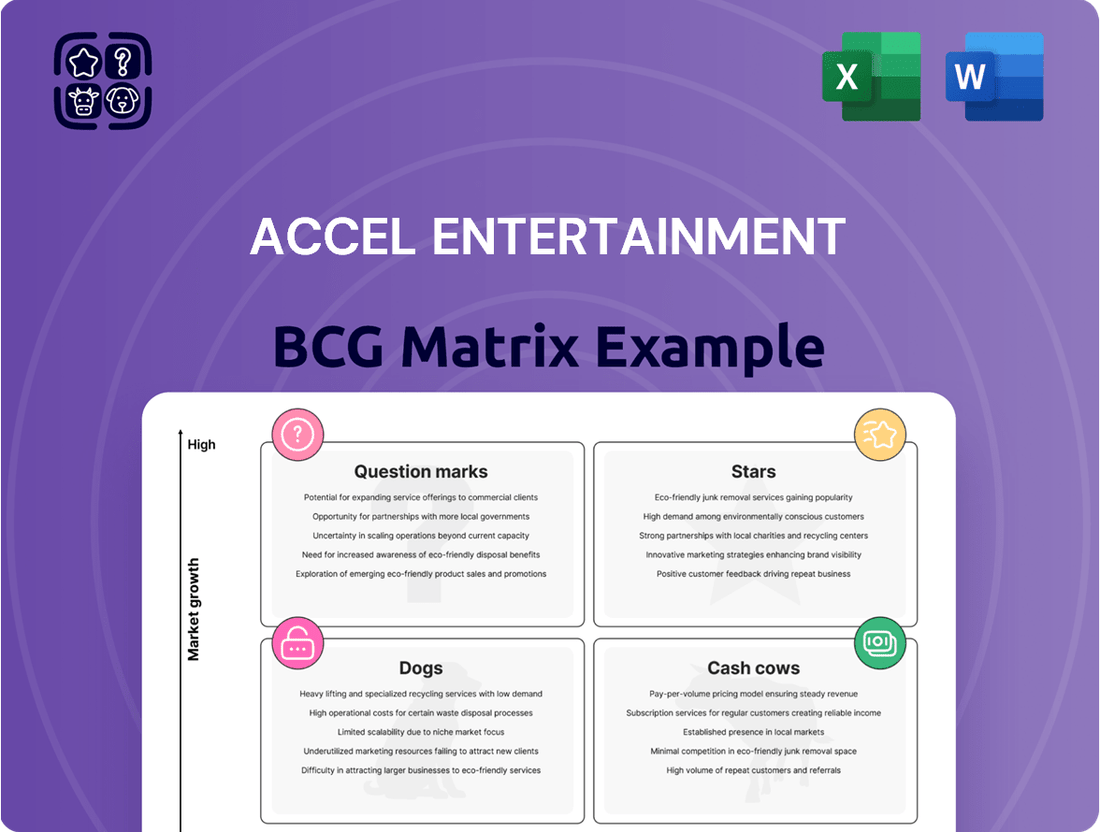 Accel Entertainment Boston Consulting Group Matrix