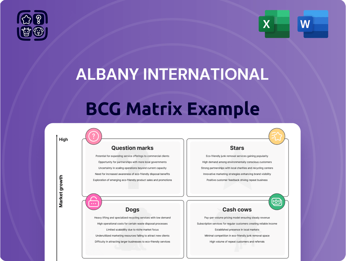 Albany International Boston Consulting Group Matrix
