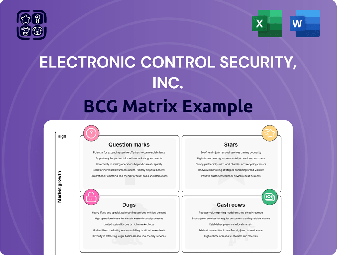 Electronic Control Security, Inc. Boston Consulting Group Matrix