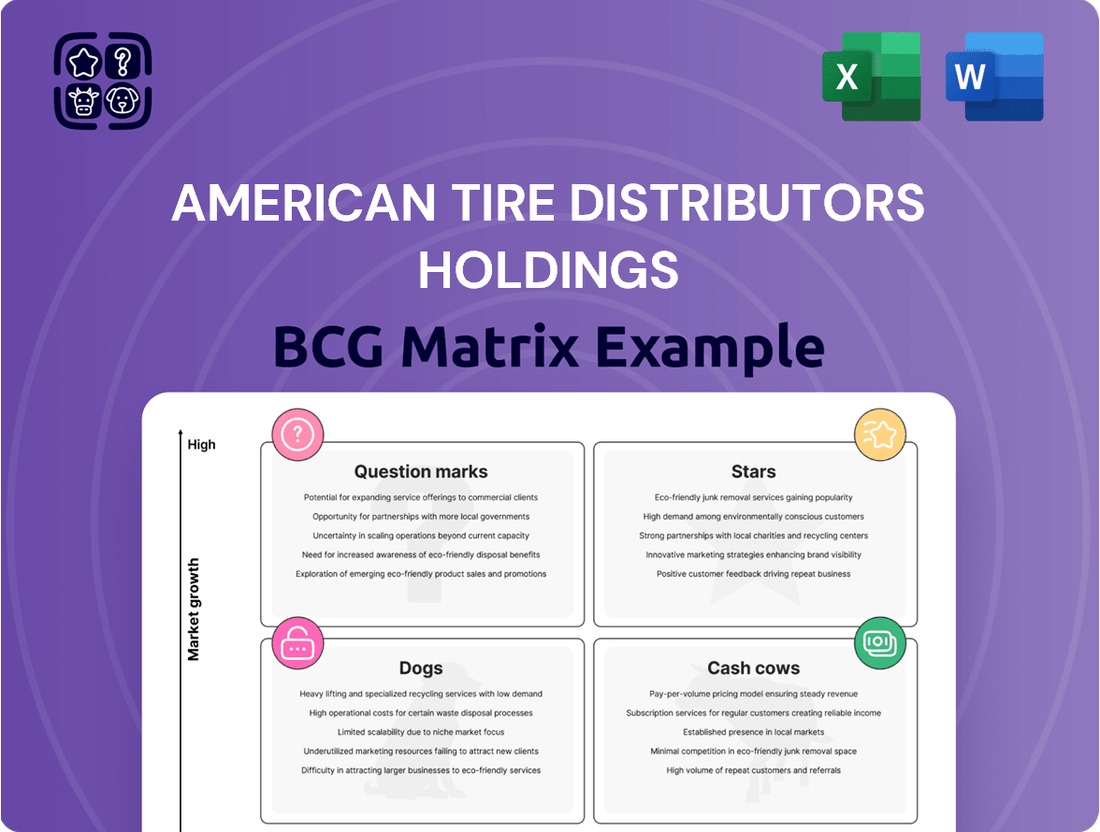 American Tire Distributors Holdings Boston Consulting Group Matrix