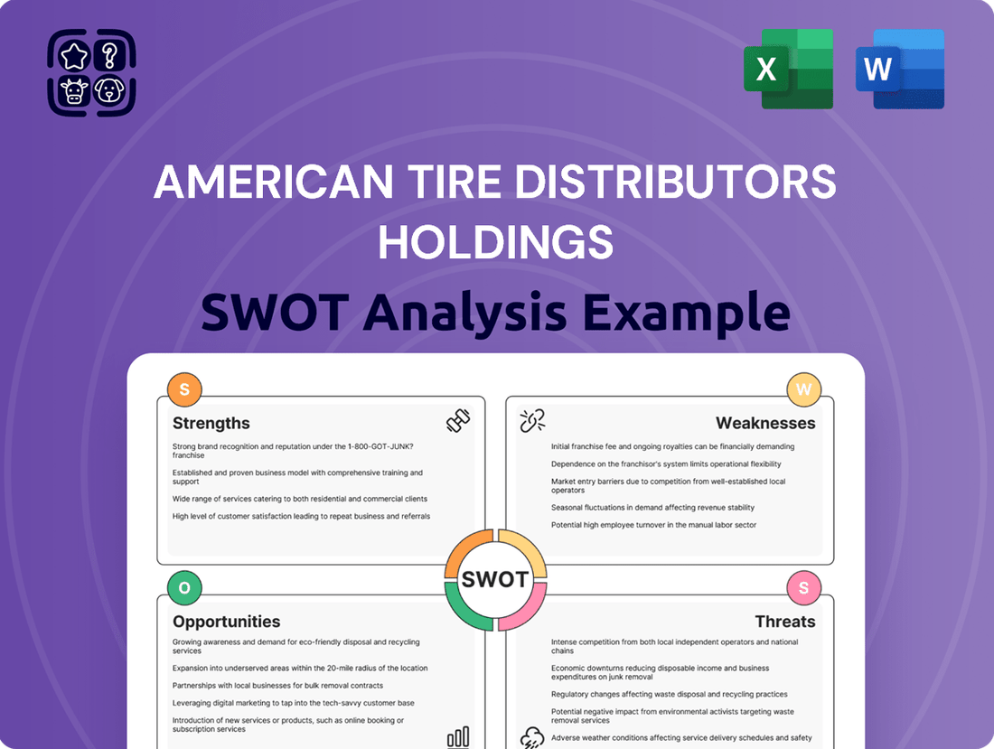 American Tire Distributors Holdings SWOT Analysis