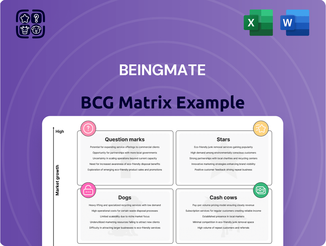Beingmate Boston Consulting Group Matrix