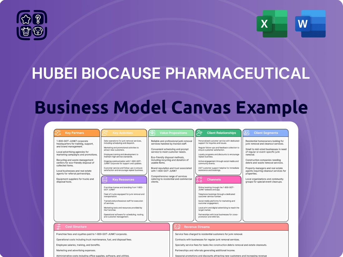 Hubei Biocause Pharmaceutical Business Model Canvas