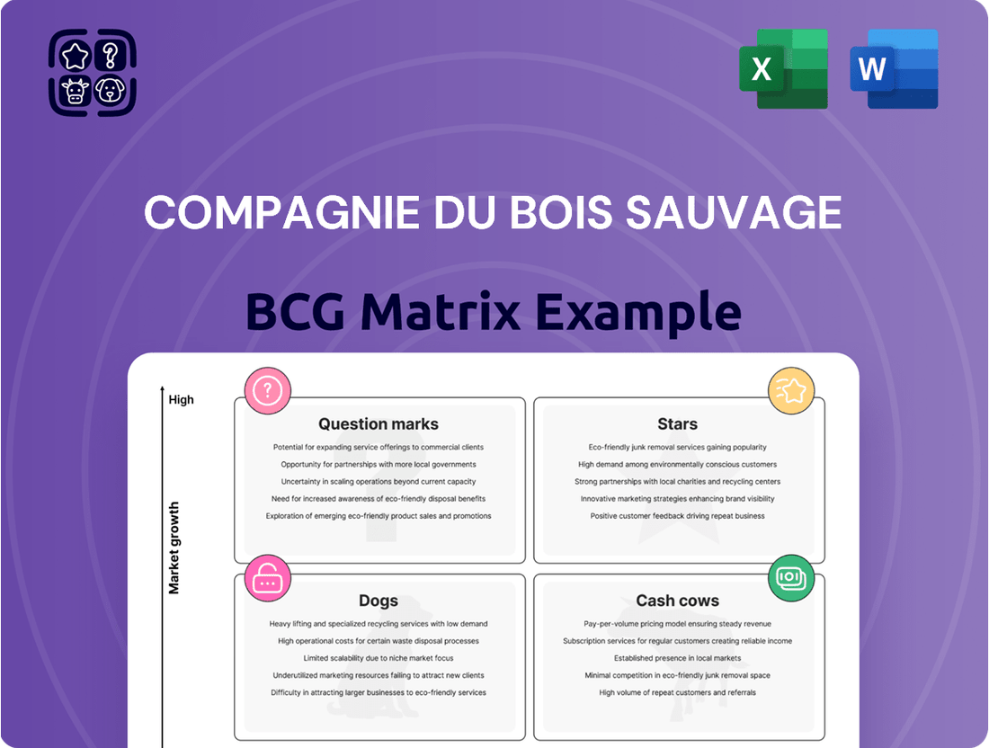 Compagnie du Bois Sauvage Boston Consulting Group Matrix