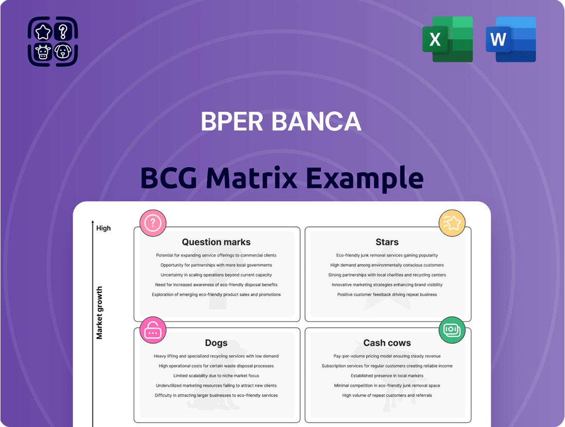 BPER Banca Boston Consulting Group Matrix