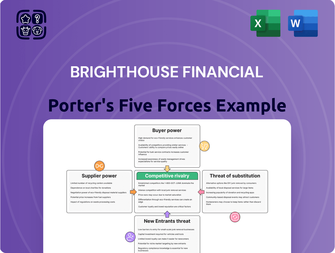 Brighthouse Financial Porter's Five Forces Analysis