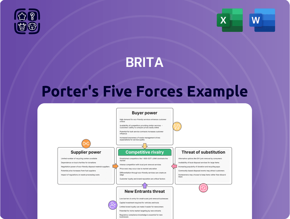 Brita Porter's Five Forces Analysis