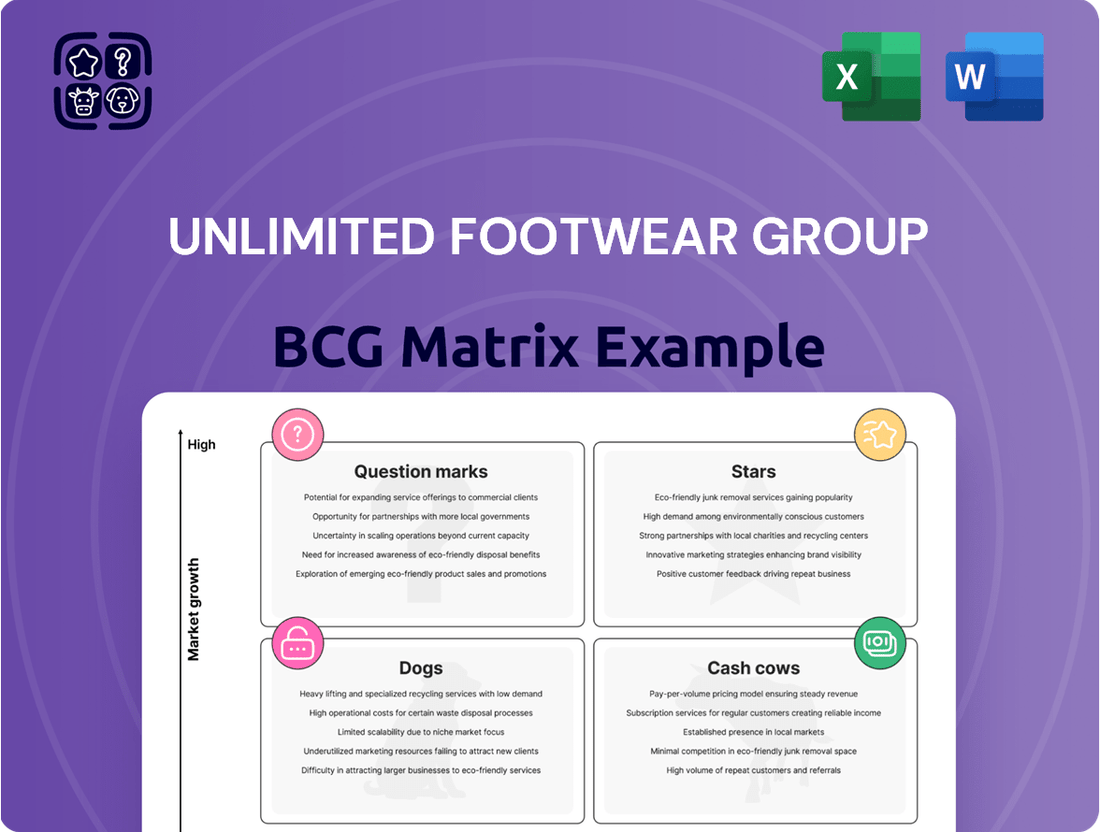 Unlimited Footwear Group Boston Consulting Group Matrix
