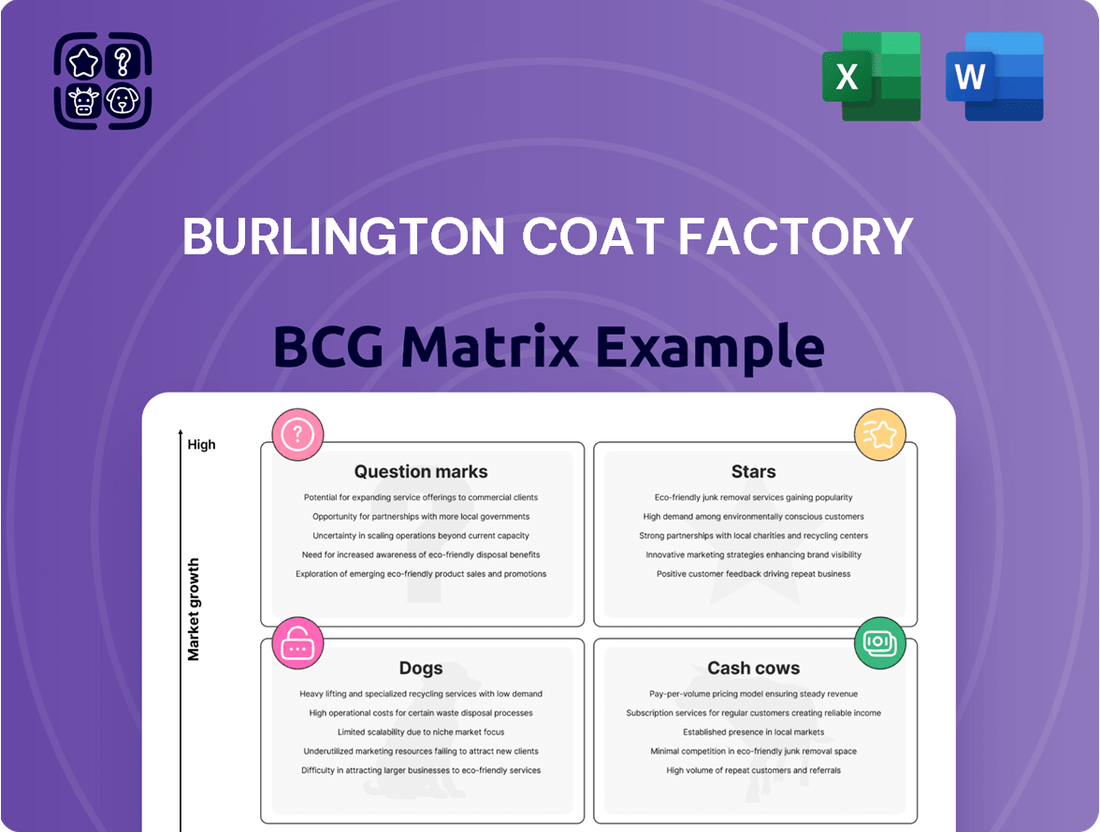 Burlington Coat Factory Boston Consulting Group Matrix