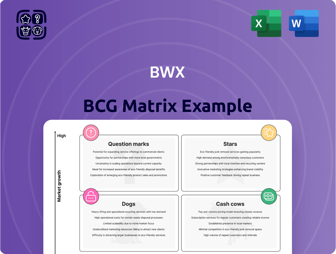 BWX Boston Consulting Group Matrix