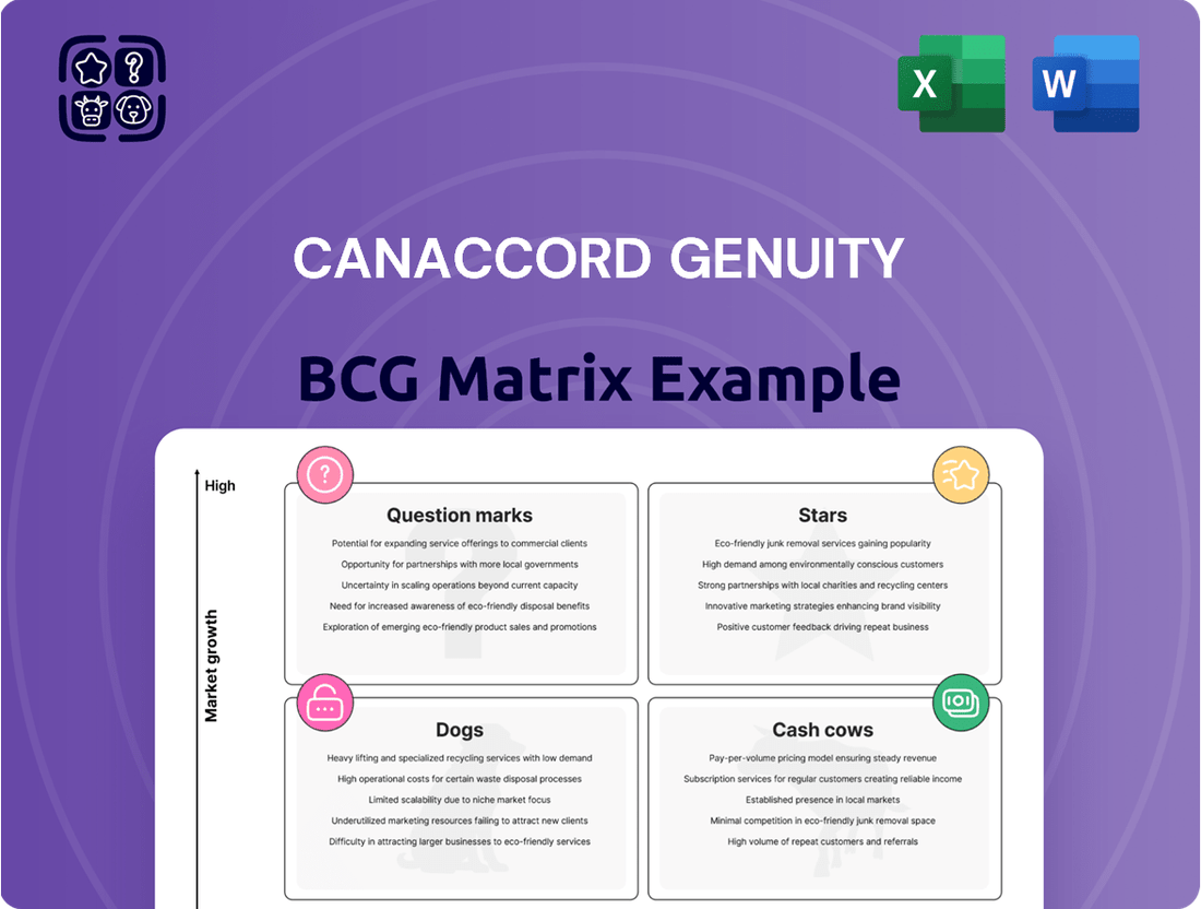 Canaccord Genuity Boston Consulting Group Matrix