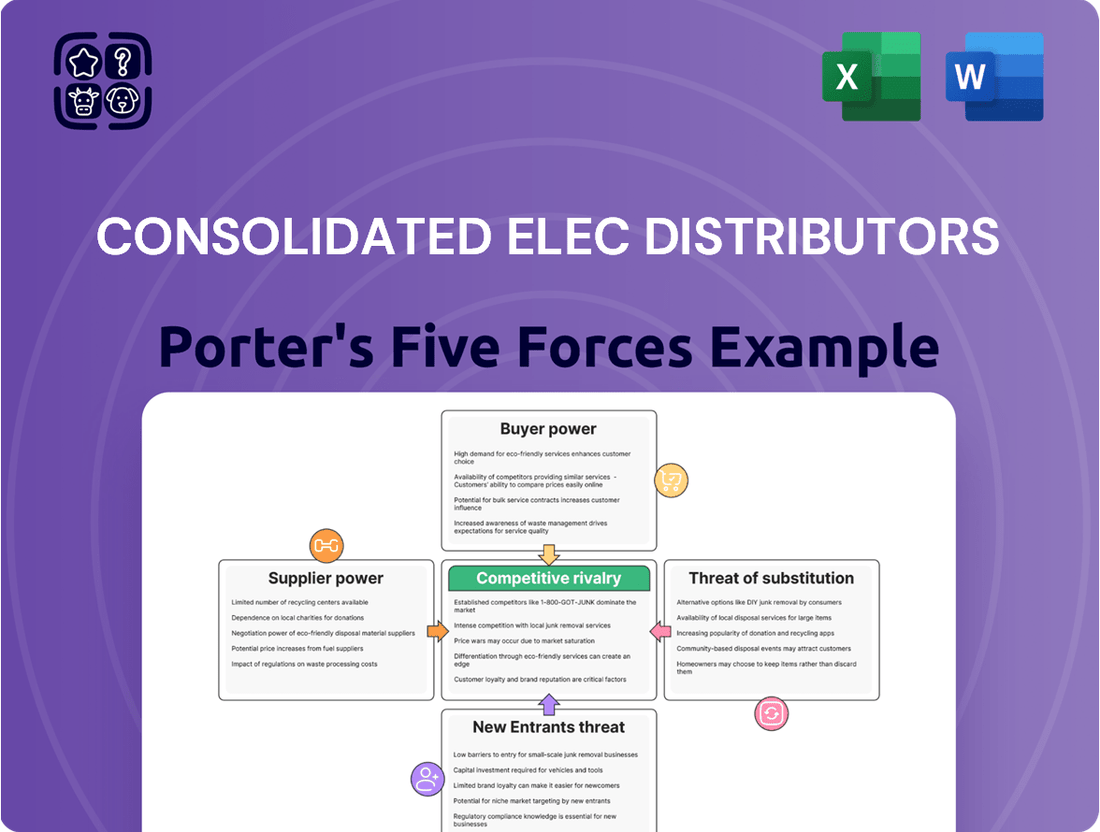 Consolidated Elec Distributors Porter's Five Forces Analysis