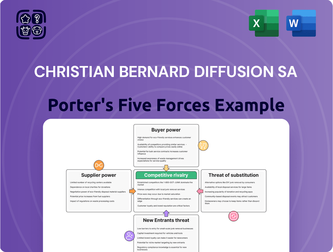 Christian Bernard Diffusion SA Porter's Five Forces Analysis