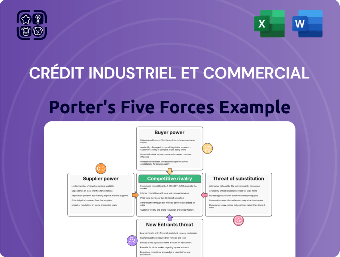 Crédit Industriel et Commercial Porter's Five Forces Analysis