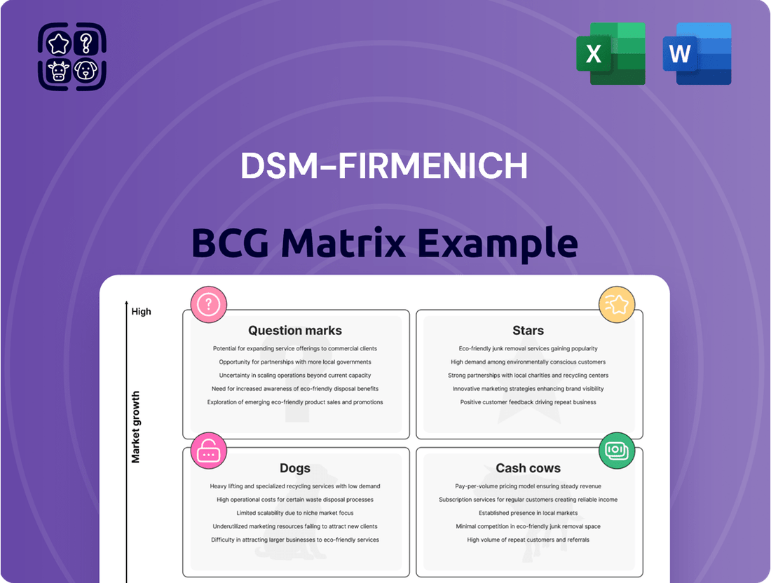 DSM-Firmenich Boston Consulting Group Matrix