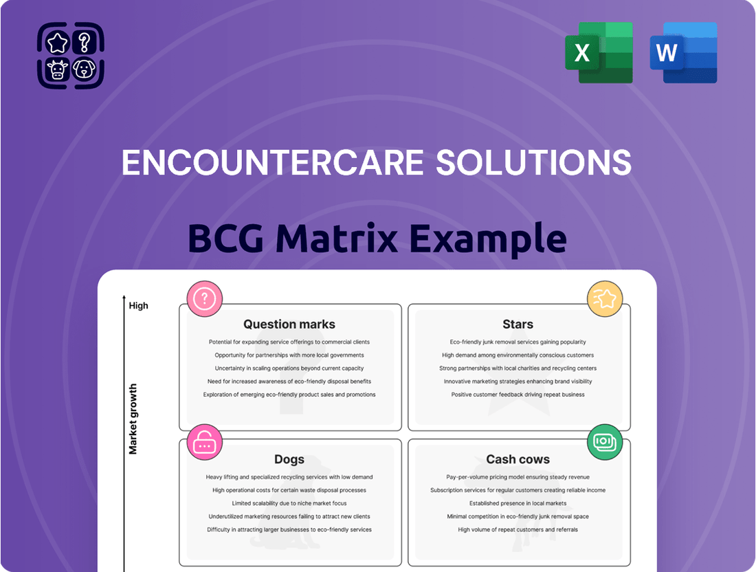 EncounterCare Solutions Boston Consulting Group Matrix