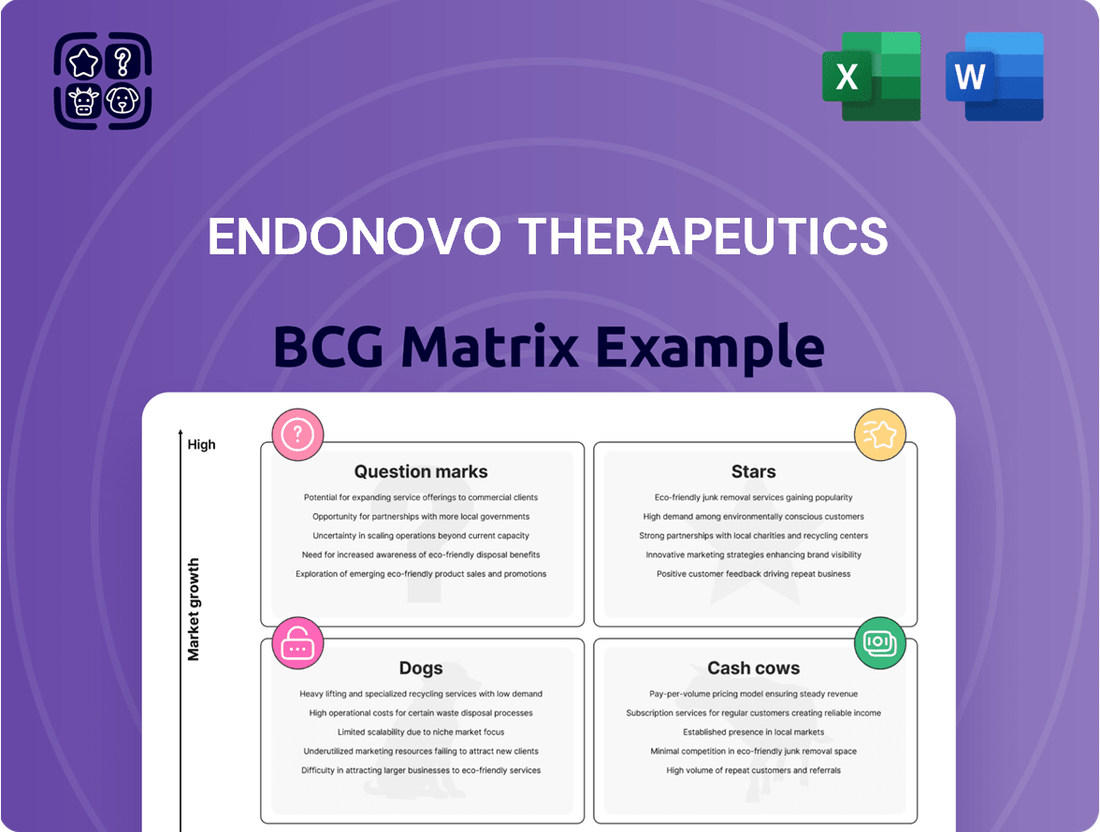 Endonovo Therapeutics Boston Consulting Group Matrix