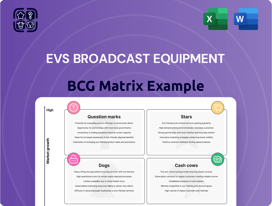 EVS Broadcast Equipment Boston Consulting Group Matrix