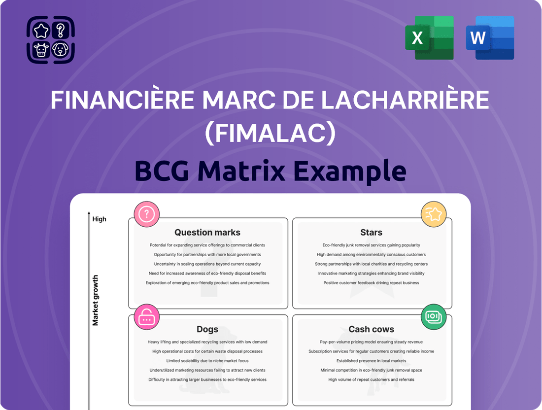 Financière Marc de Lacharrière (Fimalac) Boston Consulting Group Matrix